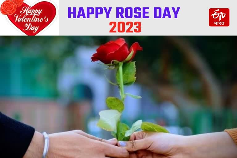 Happy Rose Day