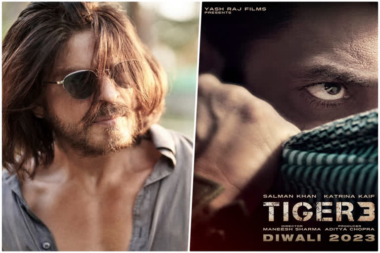 SRK Salman in Tiger 3