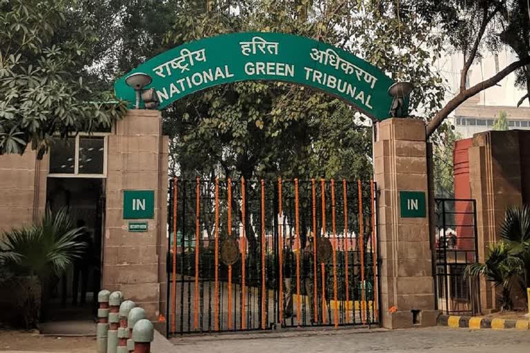 NGT in Illegal Mining