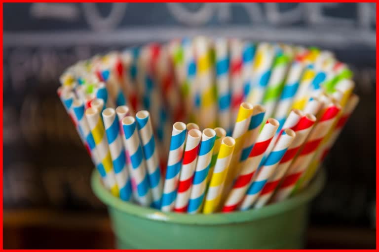 Biodegradable Paper Straws