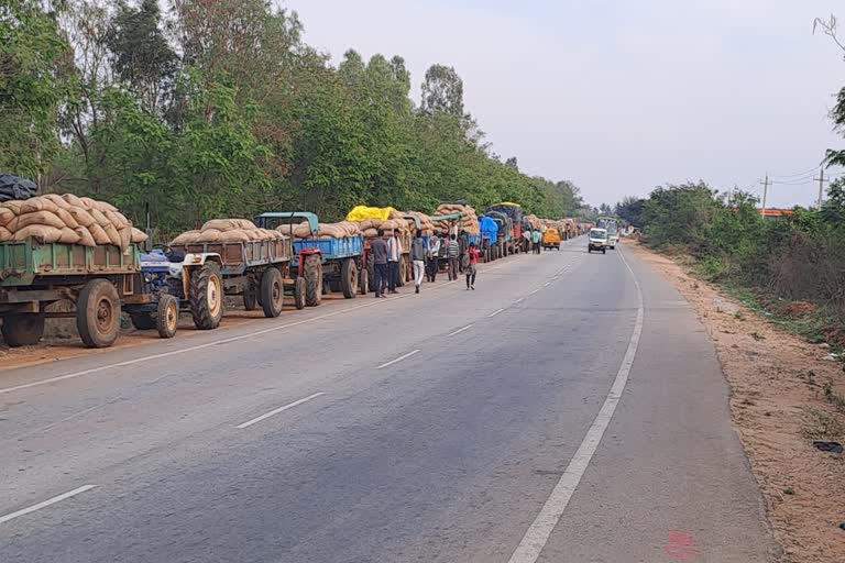 Tractors lined up