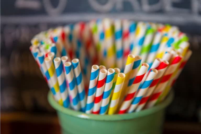 biodegradable paper straws