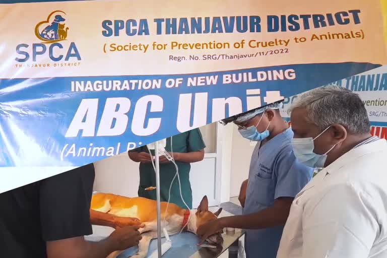 First in Tamil Nadu dedicated building for Society for the Prevention of Cruelty to Animals in Thanjavur