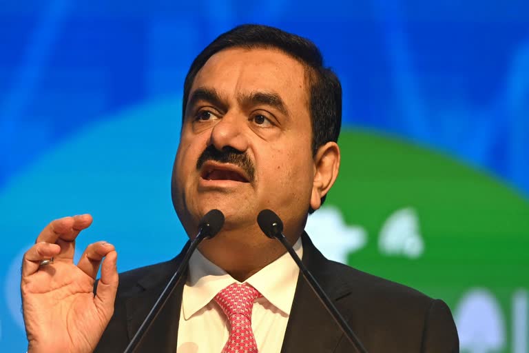 ADANI PORTS NET PROFIT FALLS IN THIRD QUARTER