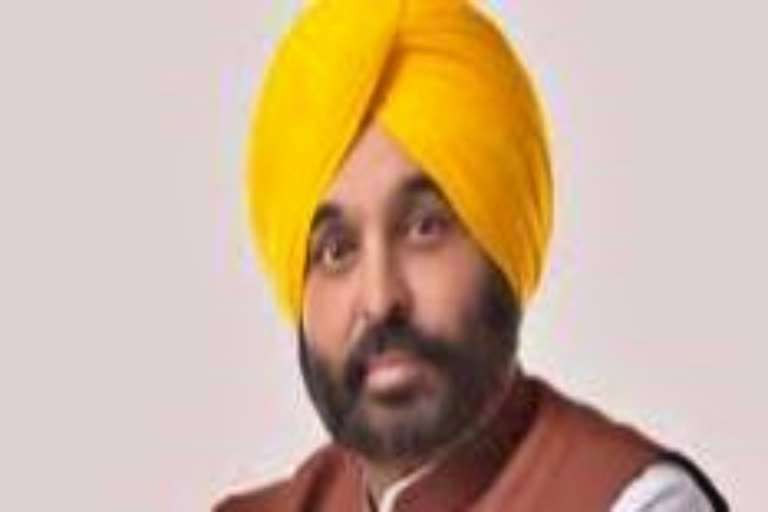 Political stability will make Punjab leading industrial state in India: CM Mann