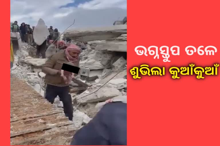 ଭୂମିକମ୍ପ ସମୟରେ ଶିଶୁକନ୍ୟା ଜନ୍ମ