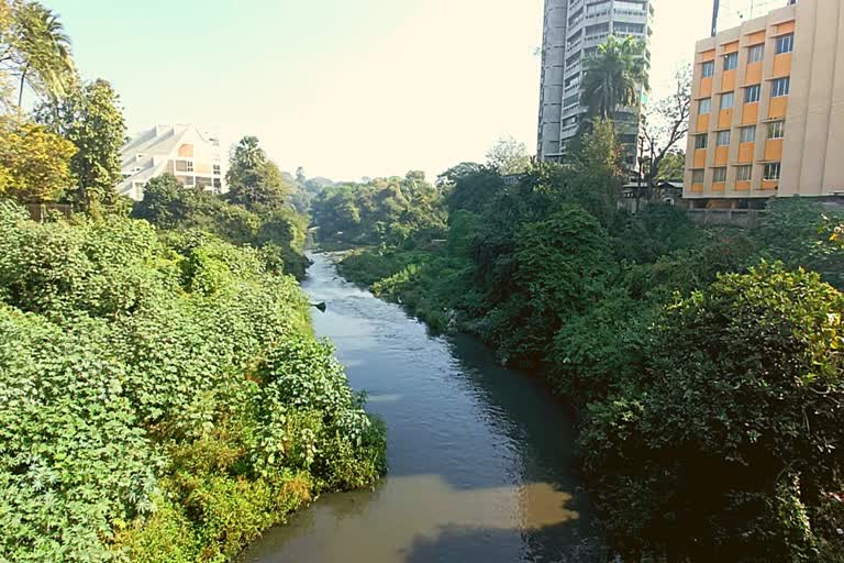 Vadodara Vishwamitri River : વિશ્વામિત્રી બની ગટર ગંગા, સ્વચ્છ કરવા માટે પાવાગઢથી પદયાત્રા