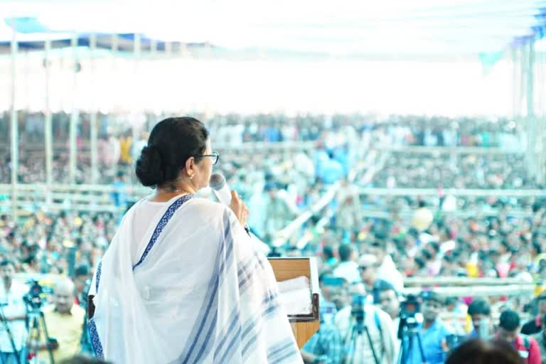 CM Mamata Banerjee