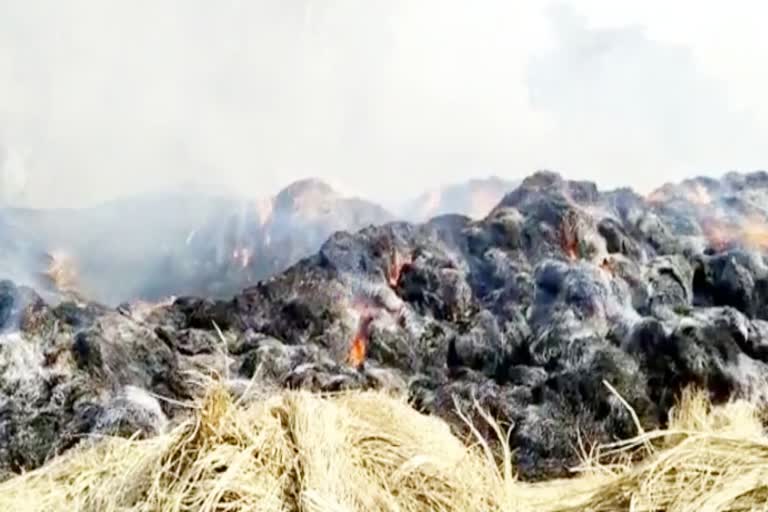 Stubble fire in Sonipat