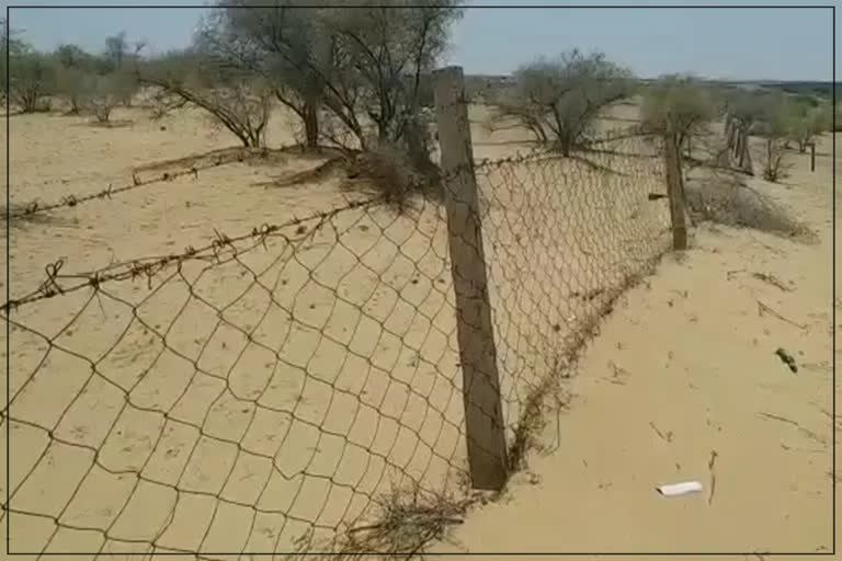 Smuggling from Pak Border, Indo Pak Border in Rajasthan