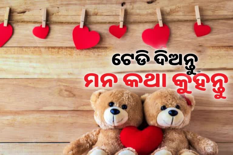 happy teddy day