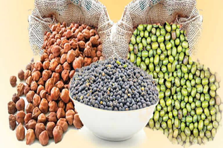 WORLD PULSES DAY