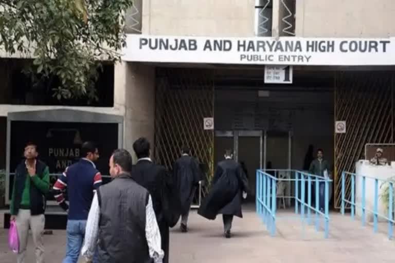 punjab haryana high court