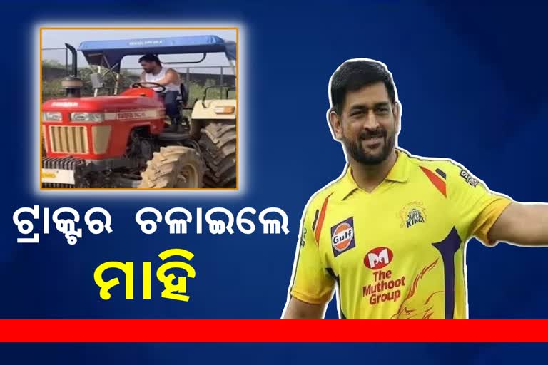 Mahendra Singh Dhoni Rides Tractor