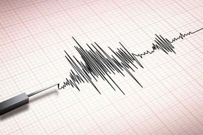 INDIA EARTHQUAKES zones