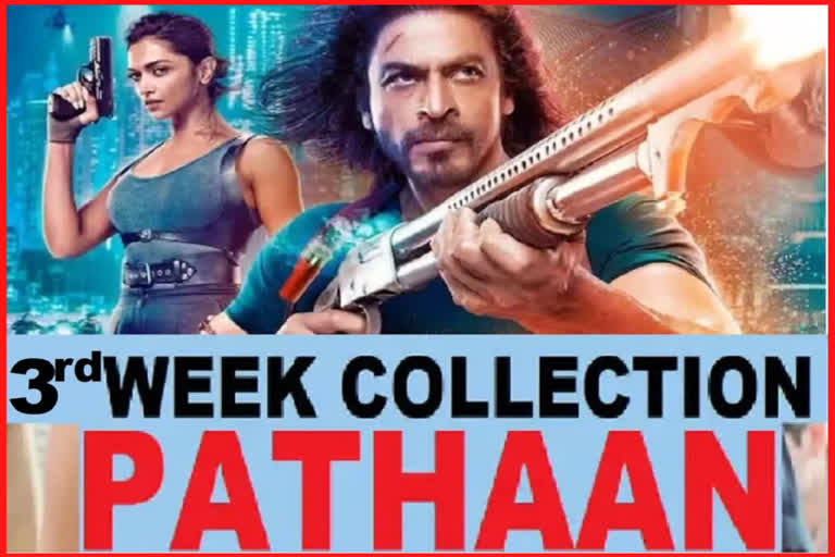 PATHAAN BOX OFFICE COLLECTION DAY 17