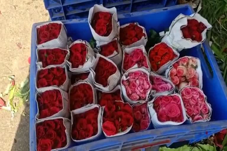 Rose prices increased due to Valentine Day