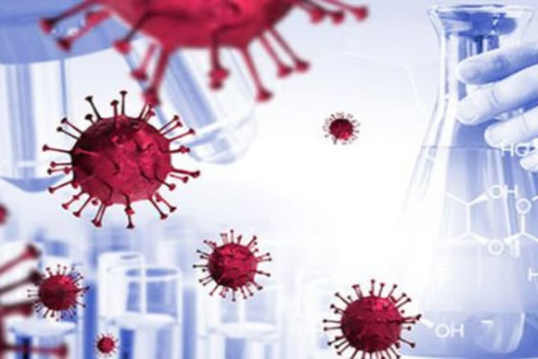 coronavirus update total coronavirus positive case in india and punjab today