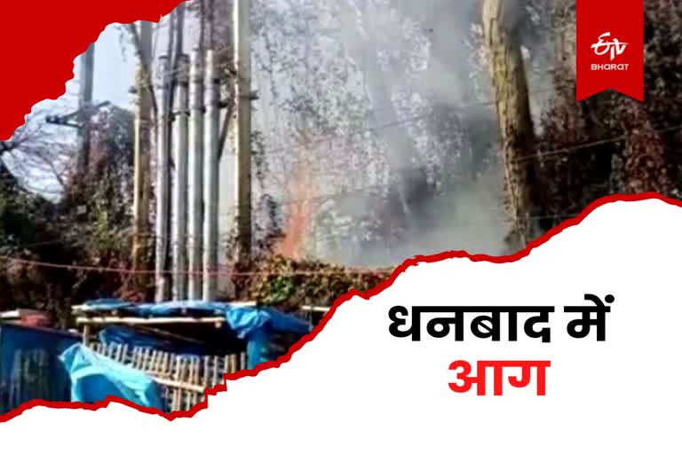 Bushes caught fire near Karmik Nagar More in Dhanbad