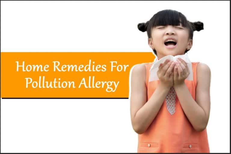 Does allergy bother you when exposed to pollution Learn 5 home remedies to get relief