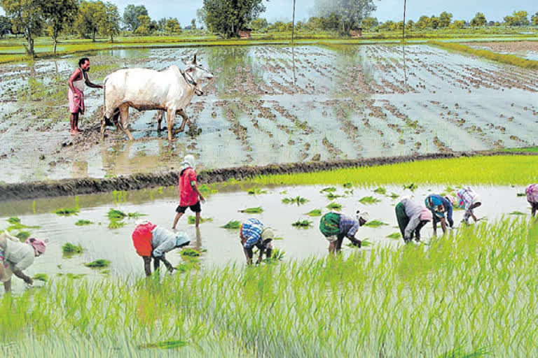 no incentive for infrastructure development in agriculture