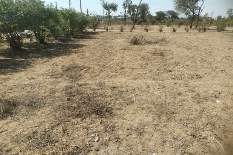 Sarpanch land auction