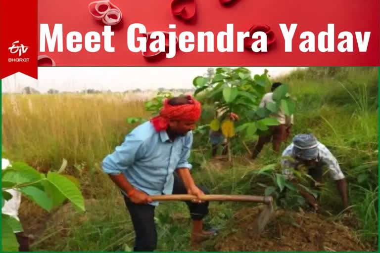 Gajendra Yadav is a lover of trees