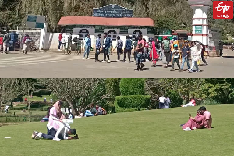 People thronged popular tourist spots in Nilgiris to celebrate Valentines Day