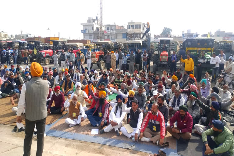 Ambala latest news farmers Protest in Ambala grain market farmers Protest with stray animals in Ambala