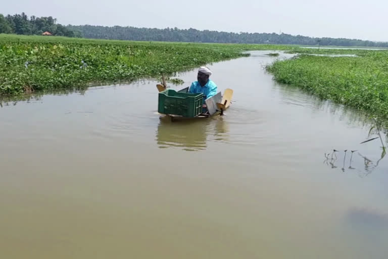 cleaning vellayani backwater  vellayani backwater  binu cleaning vellayani  kerala news  malayalam news  cleaning vellayani with his own boat  വെള്ളായണി കായൽ  പുഞ്ചക്കരി സ്വദേശി ബിനു  വെളാലായണി കായൽ വൃത്തിയാക്കി ബിനു  സ്വന്തം ബോട്ടിൽ ബിനു  പ്ലാസ്‌റ്രിക് മാലിന്യം  ശുദ്ധജല തടാകം  കായൽ വൃത്തിയാക്കൽ  കായലിലെ മാലിന്യങ്ങൾ