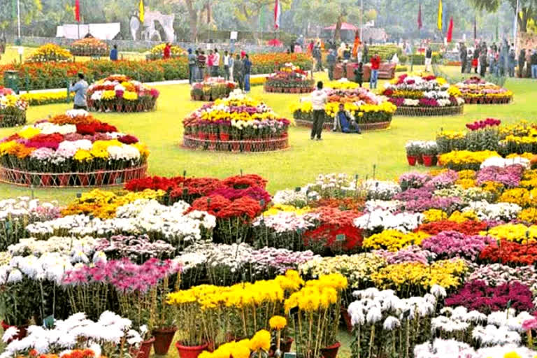 chandigarh latest news Chandigarh Rose Festival 2023 Chandigarh administration rose festival Start on 17 february