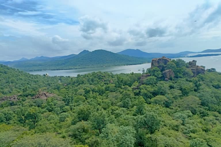 Kaveri Wildlife Sanctuary