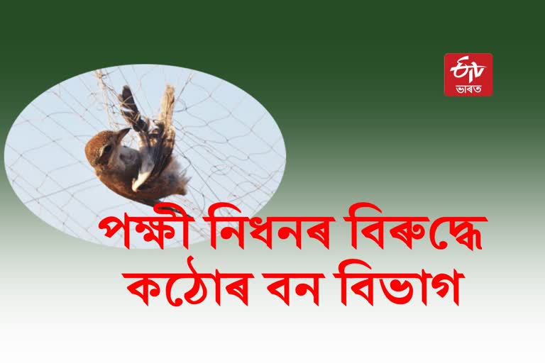 Illegal Hunting of Birds In Goalpara