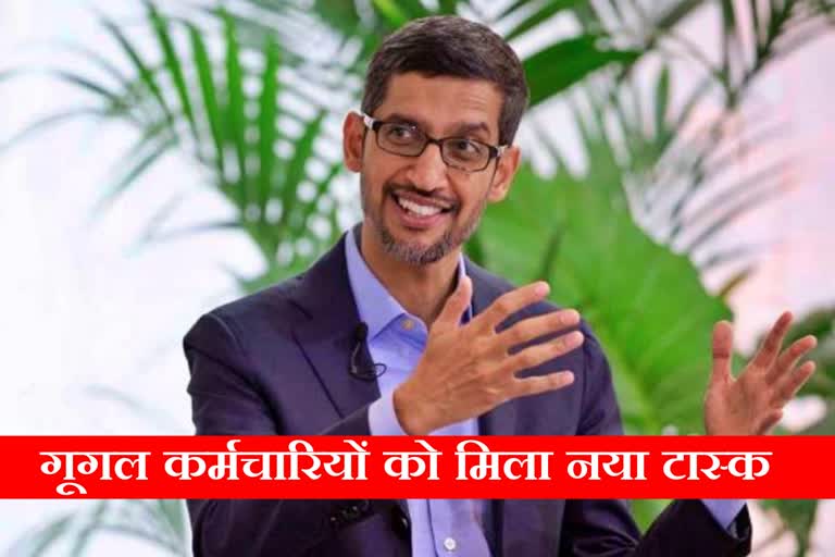 Sundar Pichai tells Google Employees To Spend 4 Hours With Bard