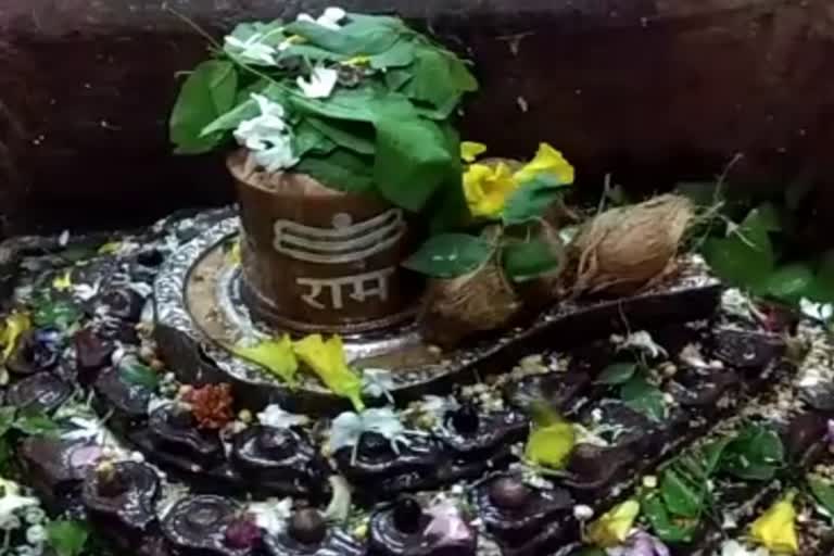 vishwanath temple where 108 shivling seen together