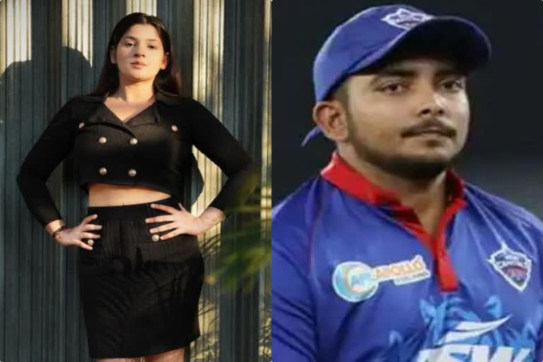 Sapna Gill accused Prithvi Shaw