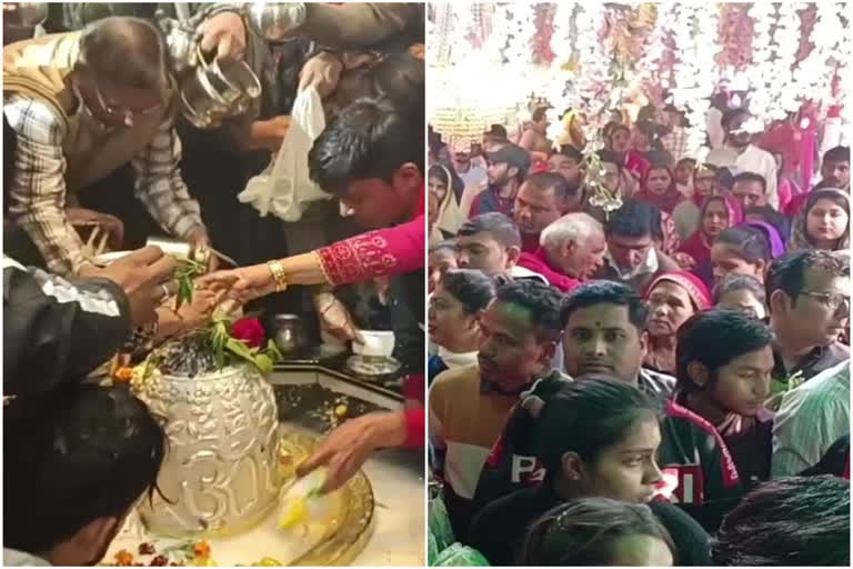 Karnal Latest News Maha Shivratri 2023 Mahashivaratri celebrated in Karnal