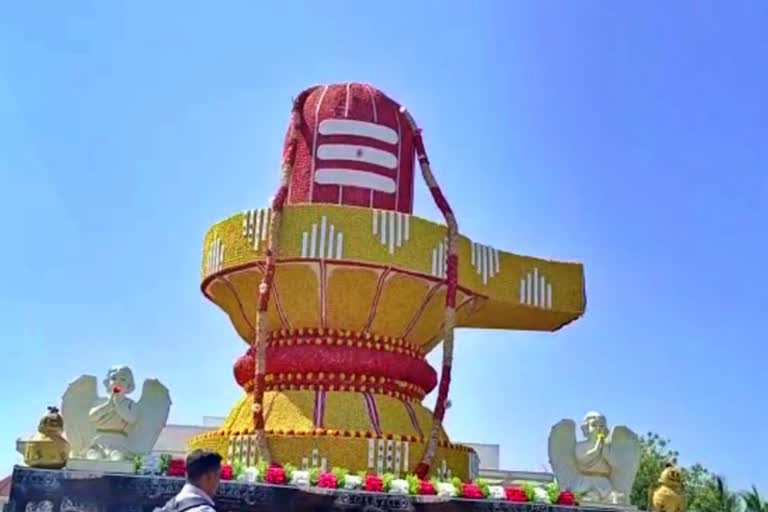 Peanuts Shivling in kalaburagi