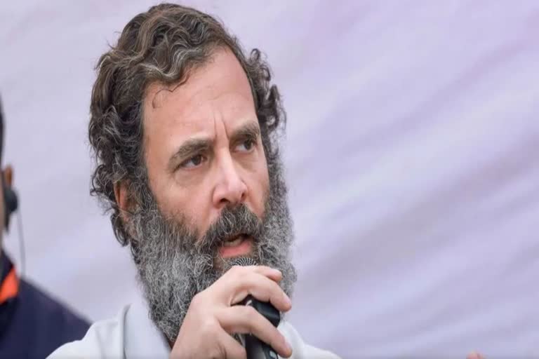 Rahul Gandhi in Jammu Kashmir