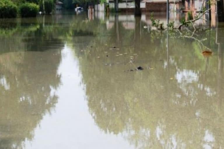 26 dead amid heavy rains in Brazil, cities cancel Carnival