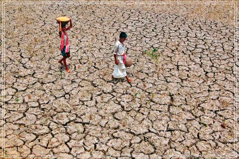 Rainfall decreases in Assam