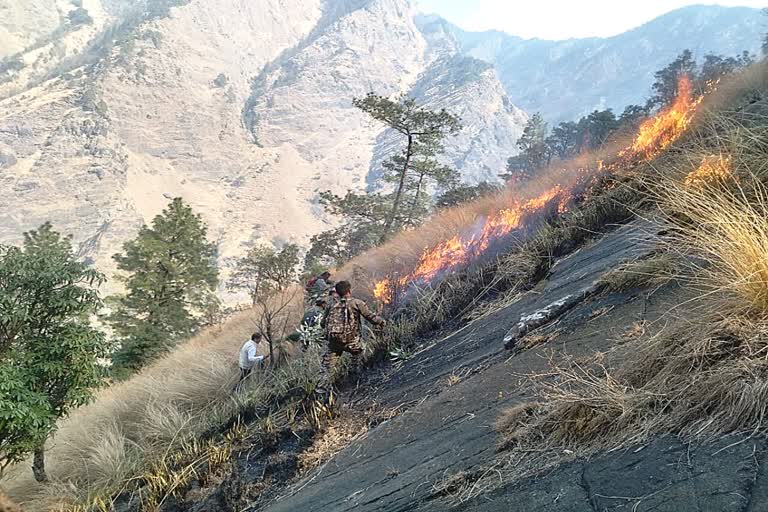 Joshimath Forest Fire