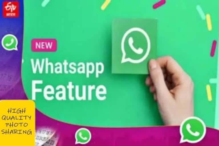 WhatsApp New Feature to share high quality photos on iOS beta