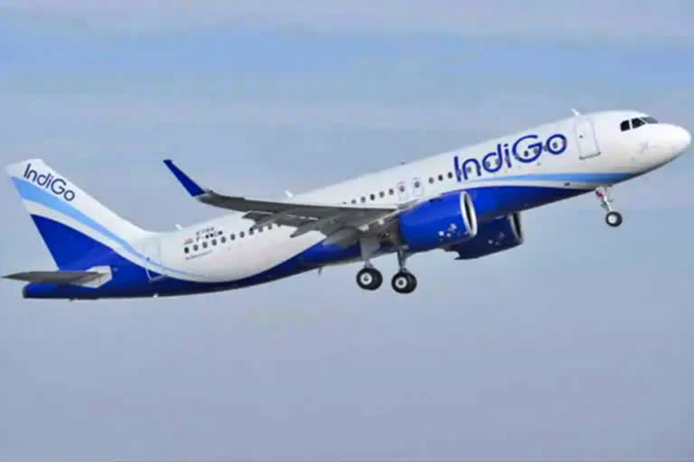 Indigo leads domestic aviation sector in January  Indigo leads domestic aviation sector  Indigo flew ahead of the other airlines in January  Air India and Vistara secured second and third  ವಿಮಾನಯಾನ ವಲಯಕ್ಕೆ ಸಿಕ್ಕಿತು ಬೂಸ್ಟ್  ದೇಶೀಯ ಪ್ರಯಾಣಿಕರ ದಟ್ಟಣೆ ದ್ವಿಗುಣ  ಲ್ಲಿ ದೇಶೀಯ ವಿಮಾನಗಳ ಪ್ರಯಾಣಿಕರ ಸಂಖ್ಯೆ  ಬಿಡುಗಡೆಯಾದ ಅಧಿಕೃತ ಅಂಕಿಅಂಶ  ದೇಶೀಯ ವಿಮಾನಯಾನ ವಲಯದಲ್ಲಿ ಇಂಡಿಗೋ  ಏರ್ ಇಂಡಿಯಾ ಮತ್ತು ವಿಸ್ತಾರಾ