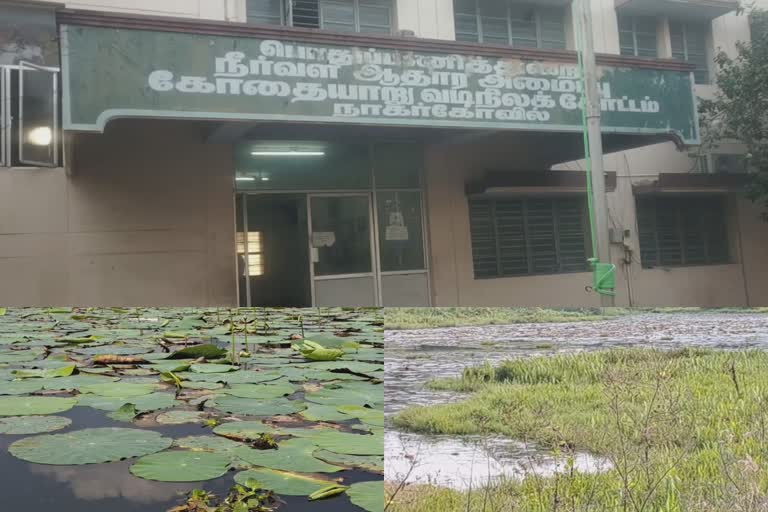 மீன் வளர்க்கும் உரிமம் வழங்க அரசு தடை