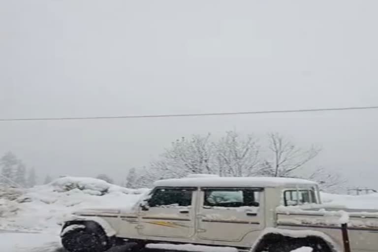 snowfall in lahaul spit