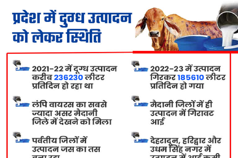 disrupted milk yield in cows in Uttarakhand