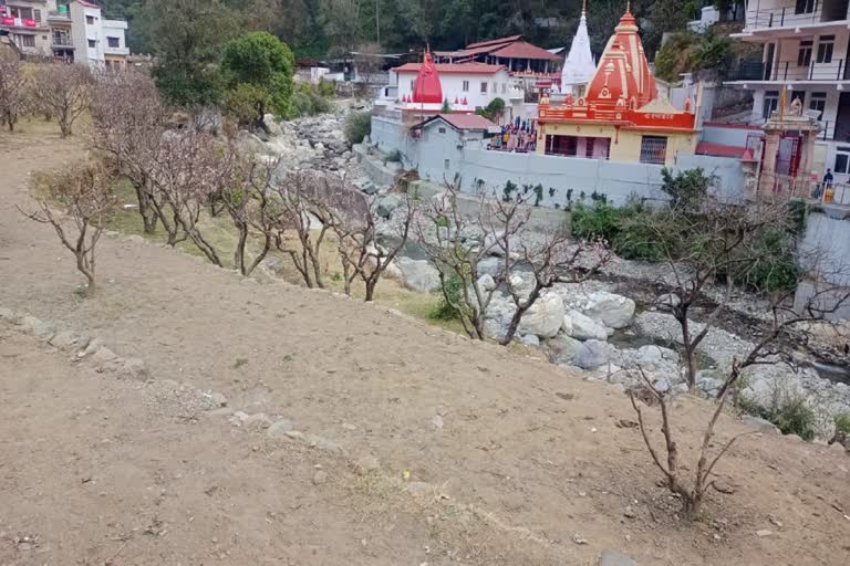 Kainchi Dham