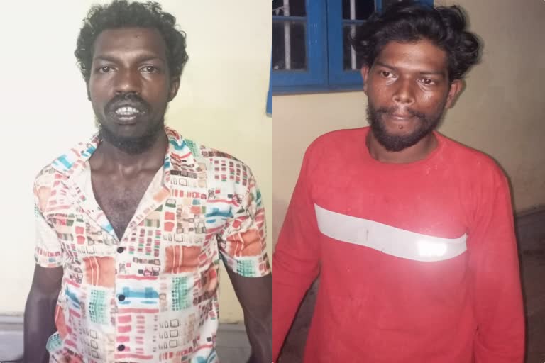 Attingal home invasion case  Suspects arrested in Attingal home invasion  police arrested the regular attackers of Atingal  regular attackers of Atingal area arrested  വീട് കയറി ആക്രമിച്ച കേസിലെ പ്രതികള്‍ അറസ്റ്റില്‍  ആറ്റിങ്ങല്‍  ആറ്റിങ്ങല്‍ വീട് കയറി ആക്രമണം  ആറ്റിങ്ങല്‍ പൊലീസ്