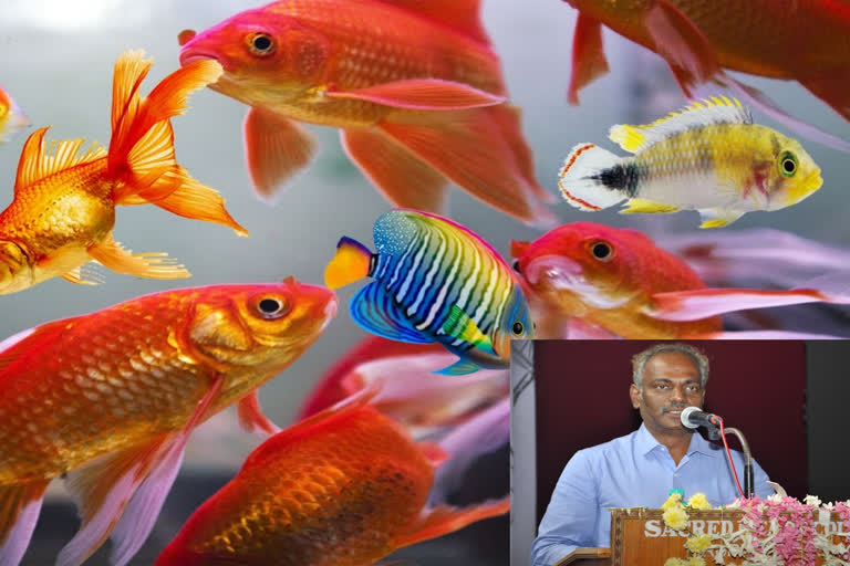 District Collector invites farmers to grow ornamental fish